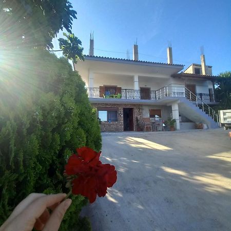 Vila Pasha ซารานเดอ ภายนอก รูปภาพ