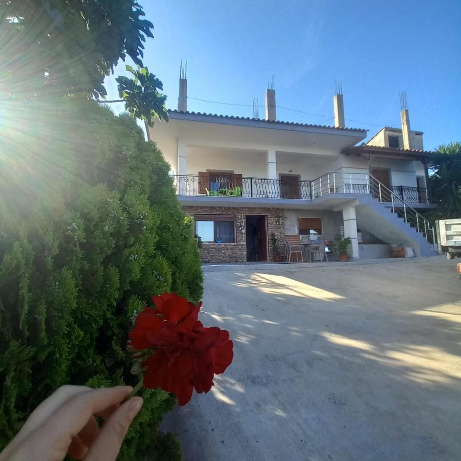 Vila Pasha ซารานเดอ ภายนอก รูปภาพ